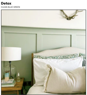 Detox - Clean Blue Green - Coat Paint